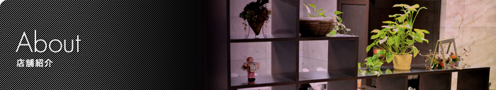 About 店舗情報｜長野市の美容室 ami.amie