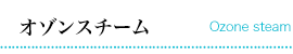STEP 2 オゾンスチーム
